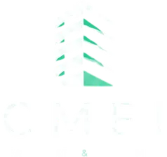 CMEI Real Estate & Investment